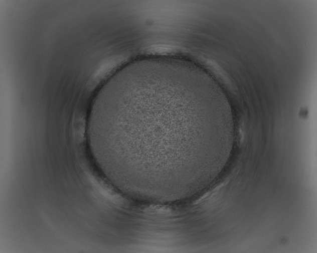 X0000093100640200710101538