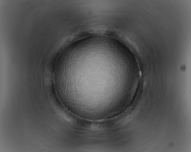 X0000093100641200710101538