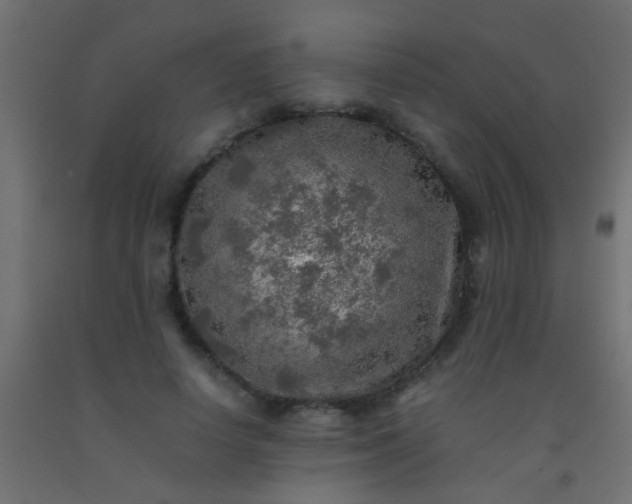 X0000093100642200710101538