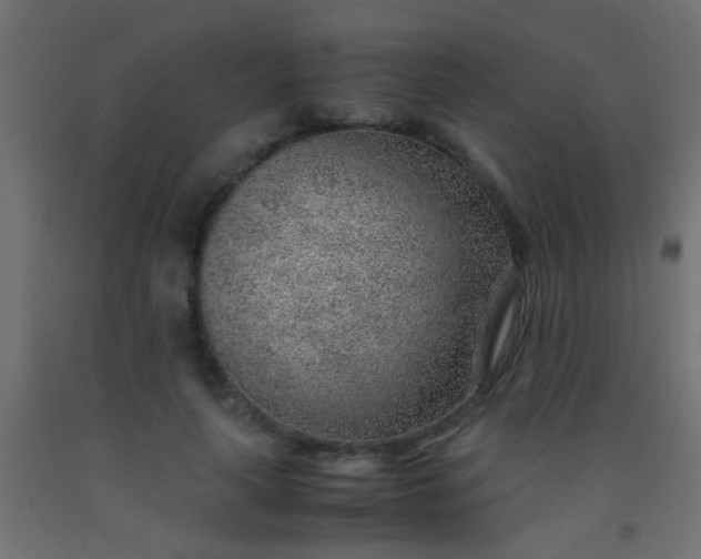 X0000093100643200710101538