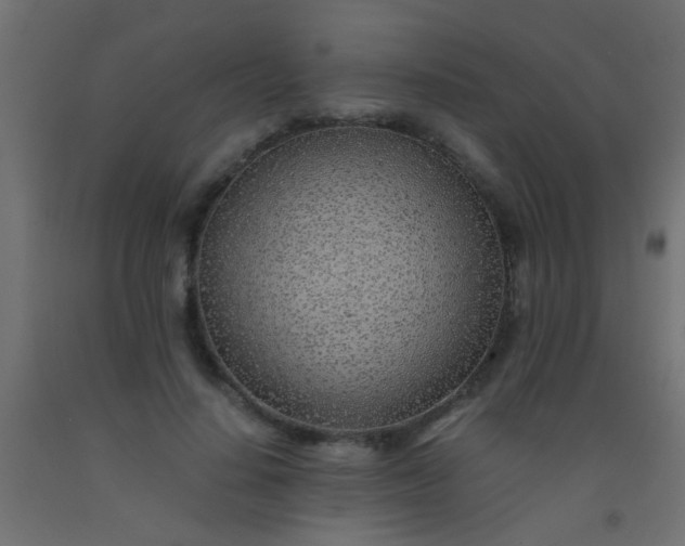 X0000093100644200710101538