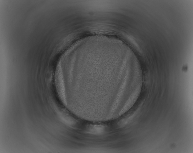 X0000093100645200710101538