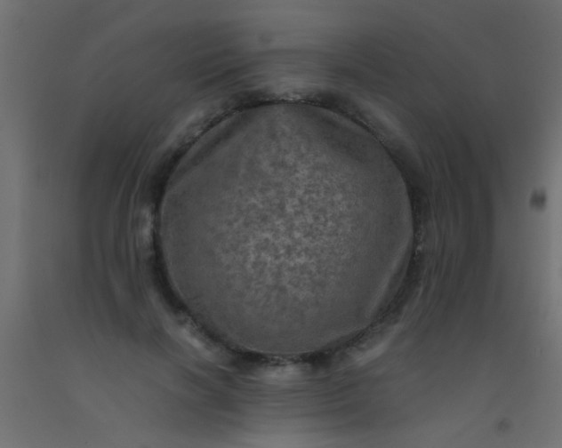 X0000093100646200710101539