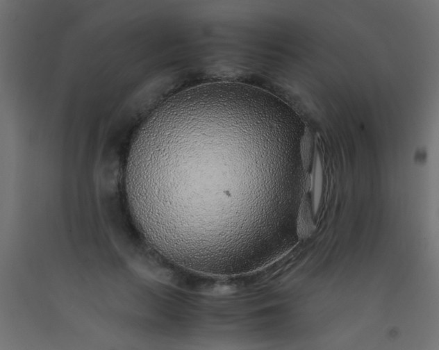 X0000093100647200710101539