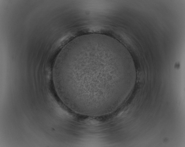 X0000093100648200710101539