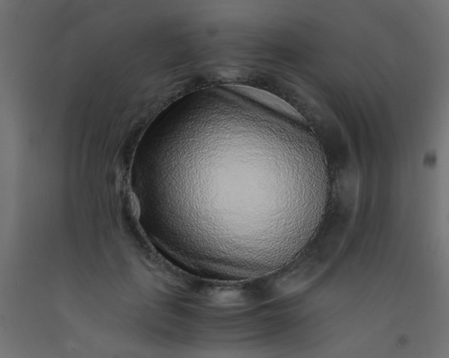 X0000093100651200710101539