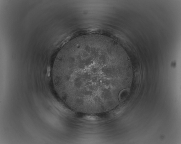 X0000093100654200710101539