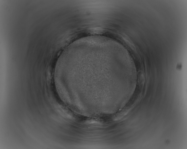 X0000093100655200710101539