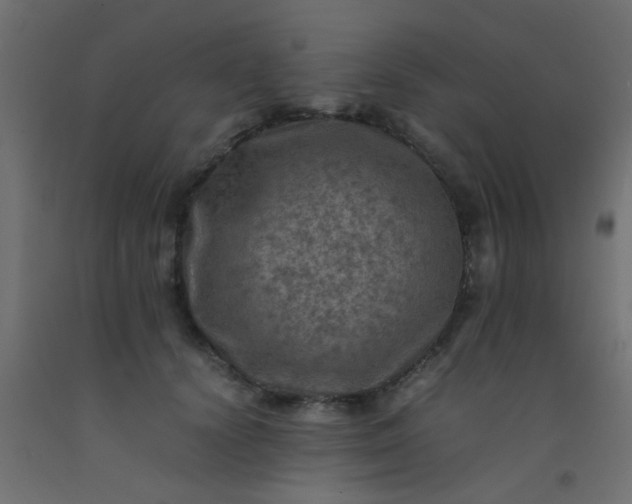 X0000093100656200710101539