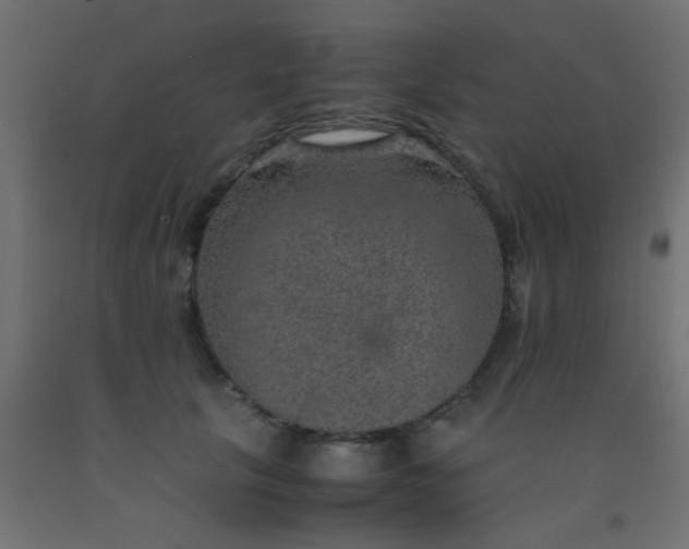 X0000093100657200710101539