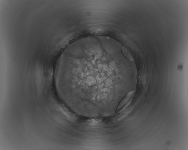 X0000093100660200710101539