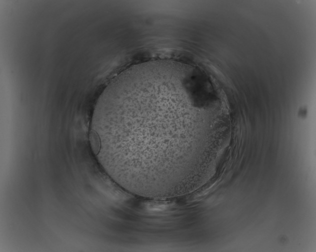 X0000093100661200710101539