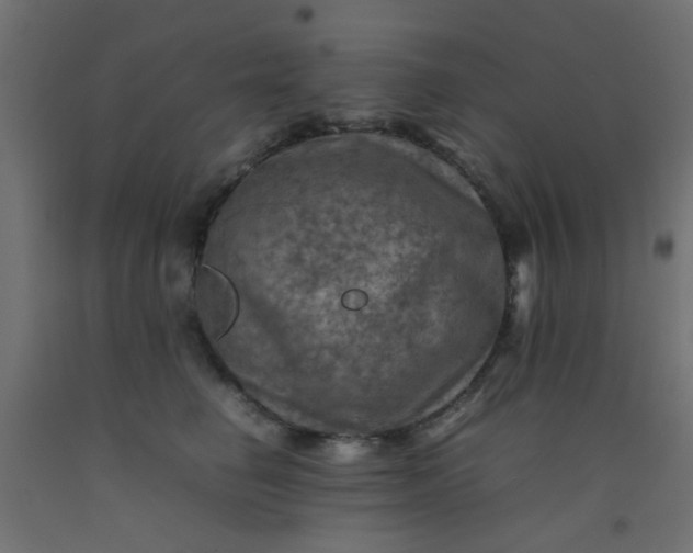 X0000093100662200710101539
