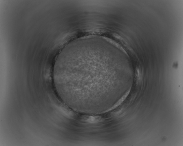 X0000093100663200710101539