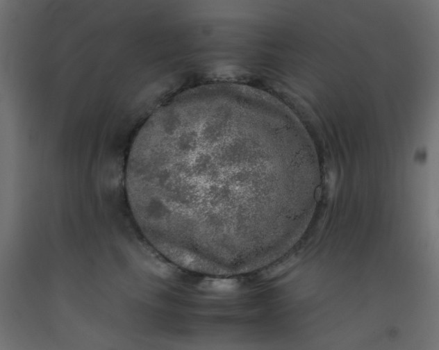 X0000093100665200710101539