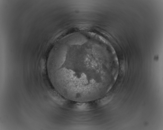 X0000093100667200710101539