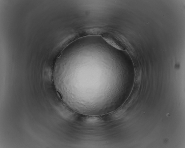 X0000093100669200710101539