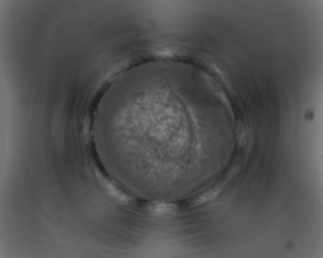X0000093100670200710101539