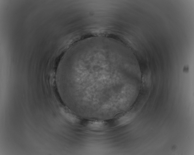 X0000093100671200710101539