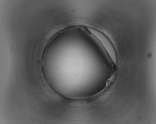 X0000093100673200710101538