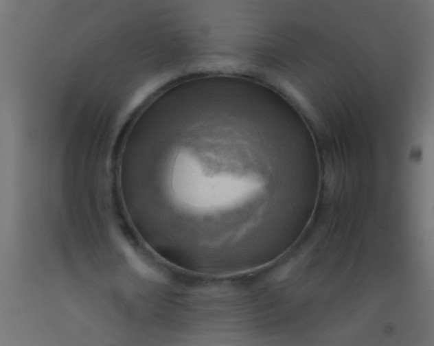 X0000093100674200710101538