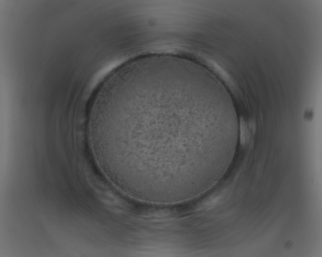 X0000093100675200710101538