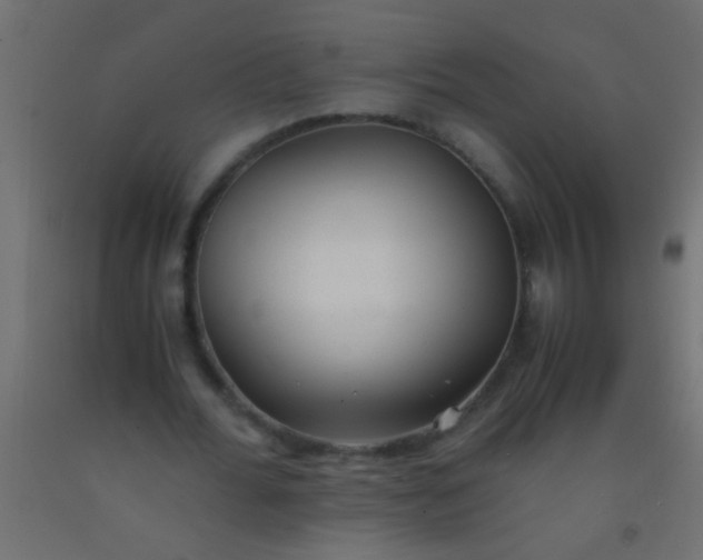 X0000093100676200710101538