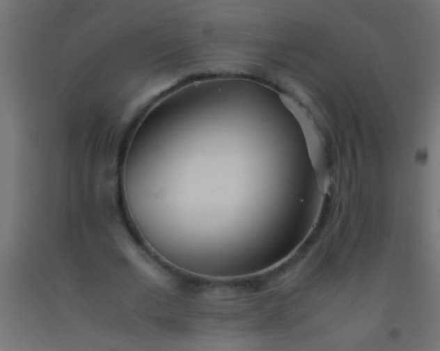 X0000093100677200710101538