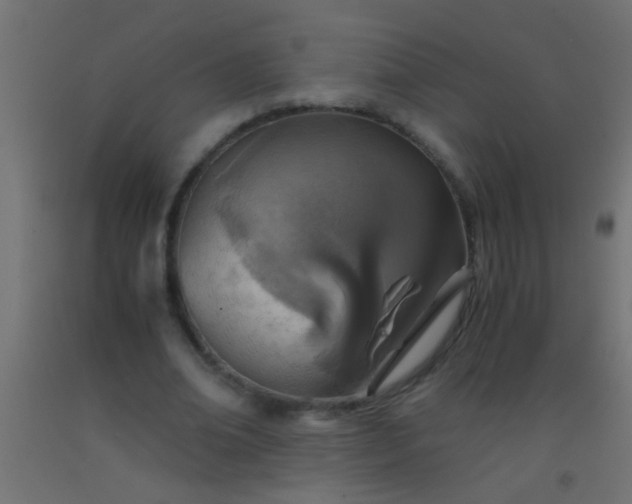 X0000093100678200710101538