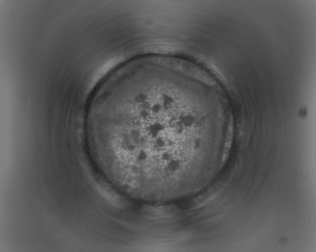 X0000093100679200710101538