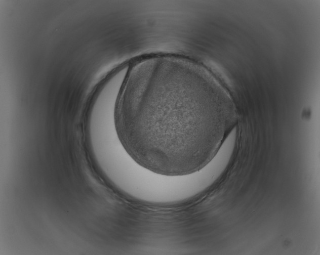 X0000093100680200710101538