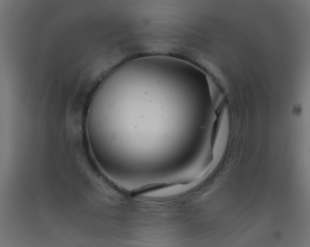 X0000093100681200710101538