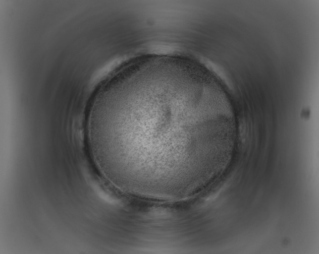 X0000093100682200710101538