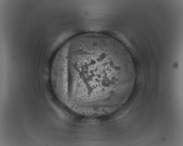 X0000093100683200710101538
