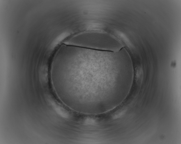 X0000093100684200710101538