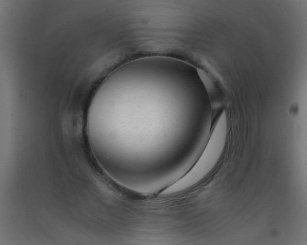 X0000093100685200710101538