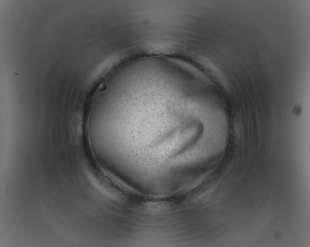 X0000093100686200710101538