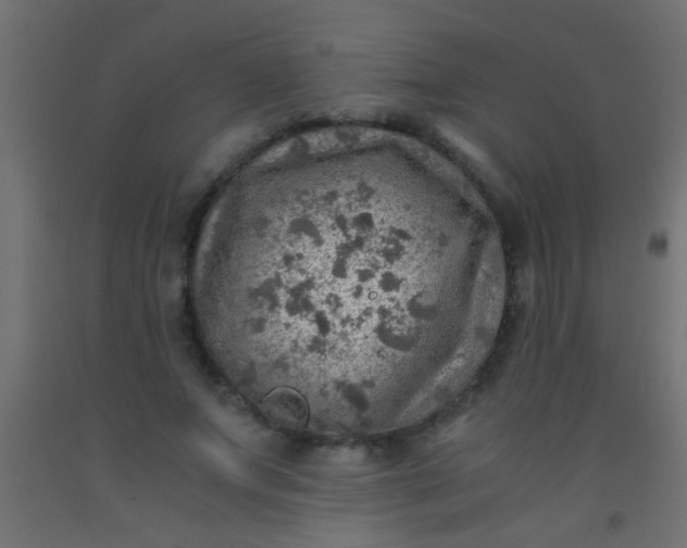 X0000093100687200710101538