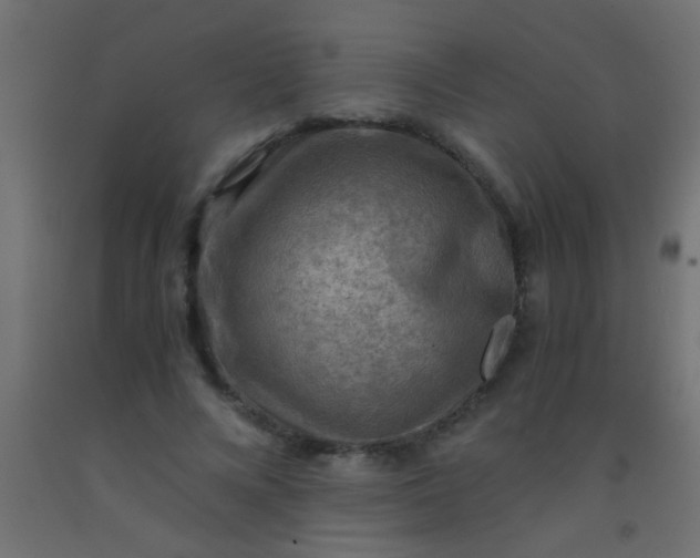 X0000093100688200710101538