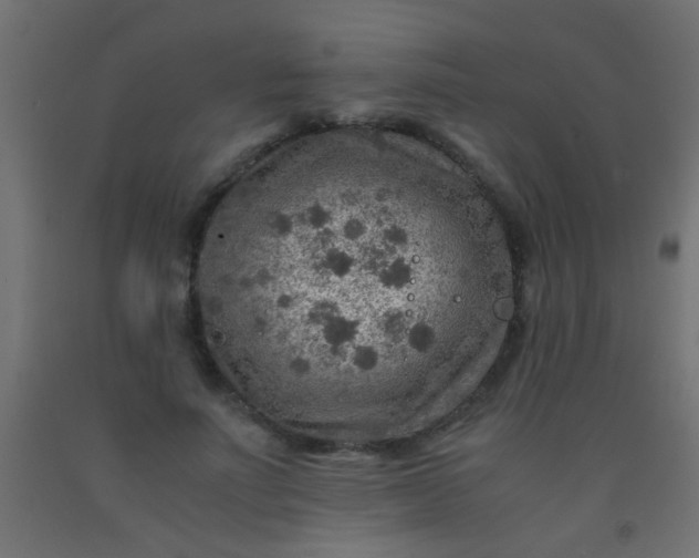 X0000093100691200710101538