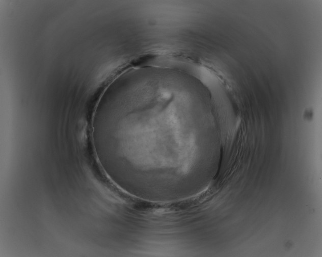 X0000093100692200710101538