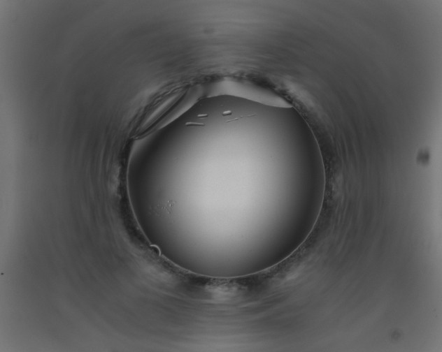 X0000093100693200710101538