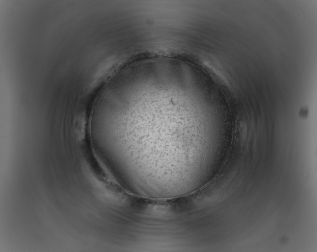 X0000093100694200710101538