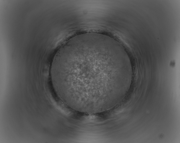 X0000093100695200710101538