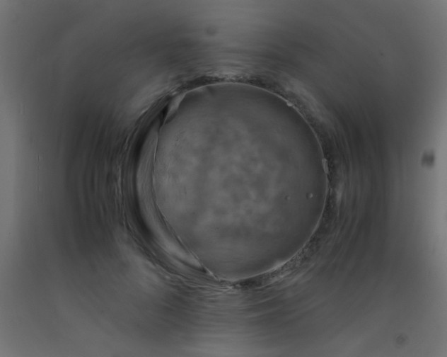 X0000093100696200710101538