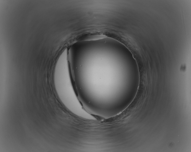X0000093100697200710101538