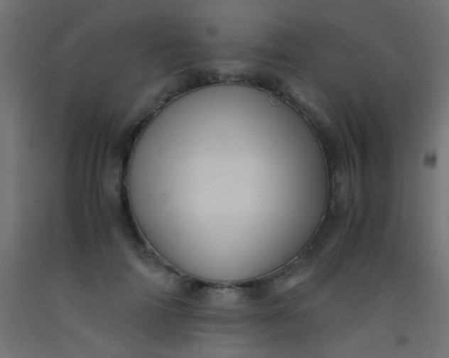 X0000093100698200710101538