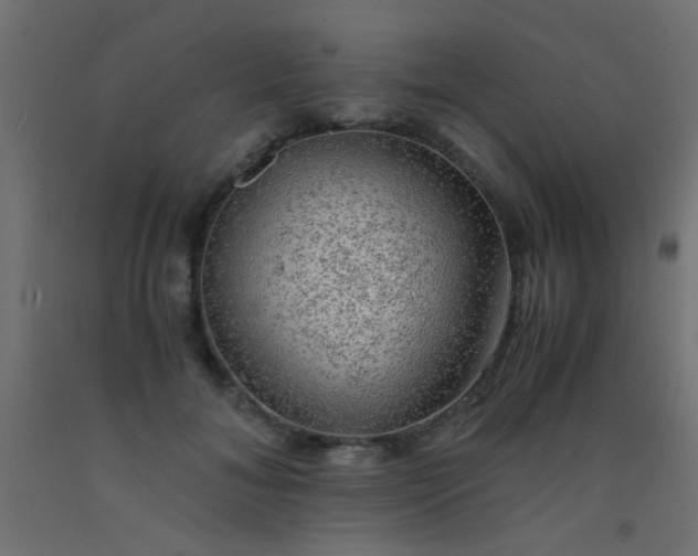 X0000093100700200710101538