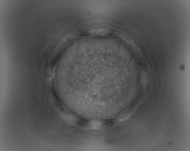 X0000093100701200710101538