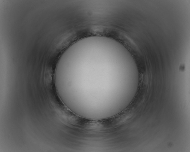 X0000093100702200710101538